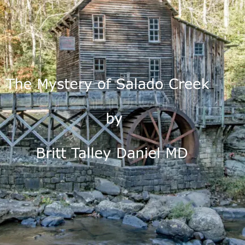 What happened at Salado Creek? (Audiobook)